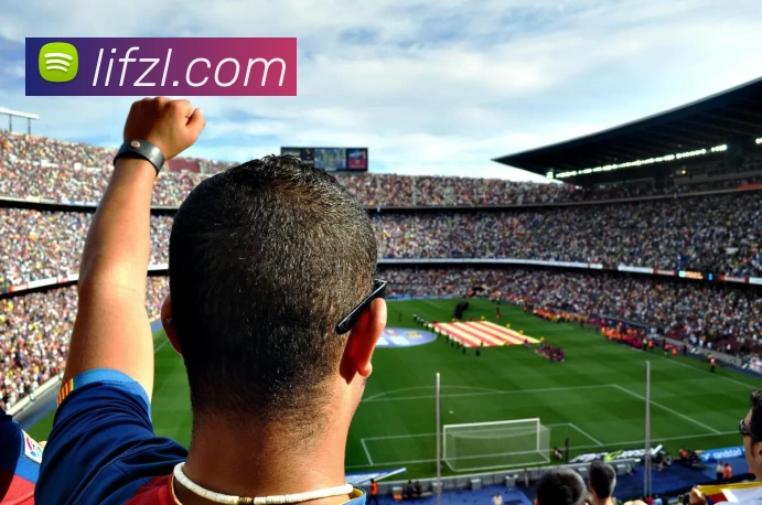 多媒体互动体验